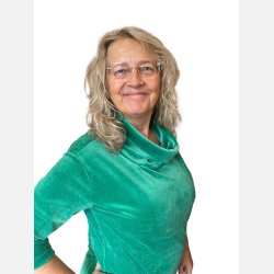 Liva Bluse med rullekrave