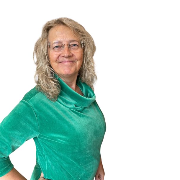 Liva Bluse med rullekrave UDSOLGT